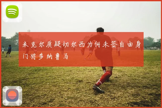 米克尔质疑切尔西为何未签自由身门将多纳鲁马