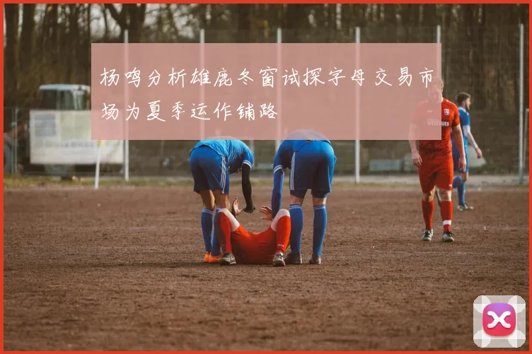 杨鸣分析雄鹿冬窗试探字母交易市场为夏季运作铺路